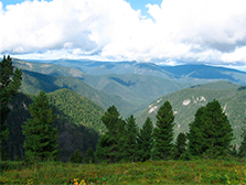 <span style="font-weight: bold;">Популярный товар</span>